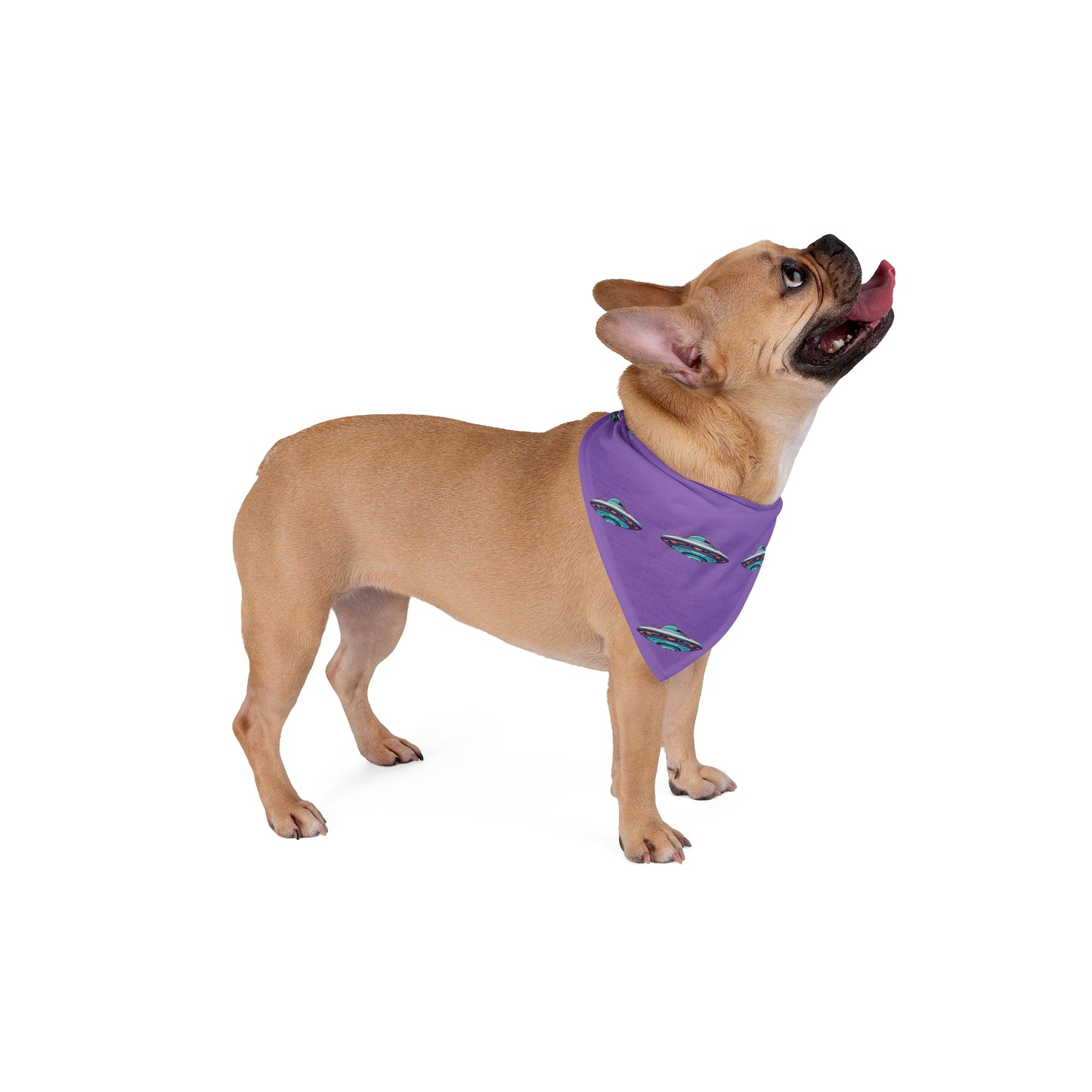 Retro UFO Pet Bandana | Model
