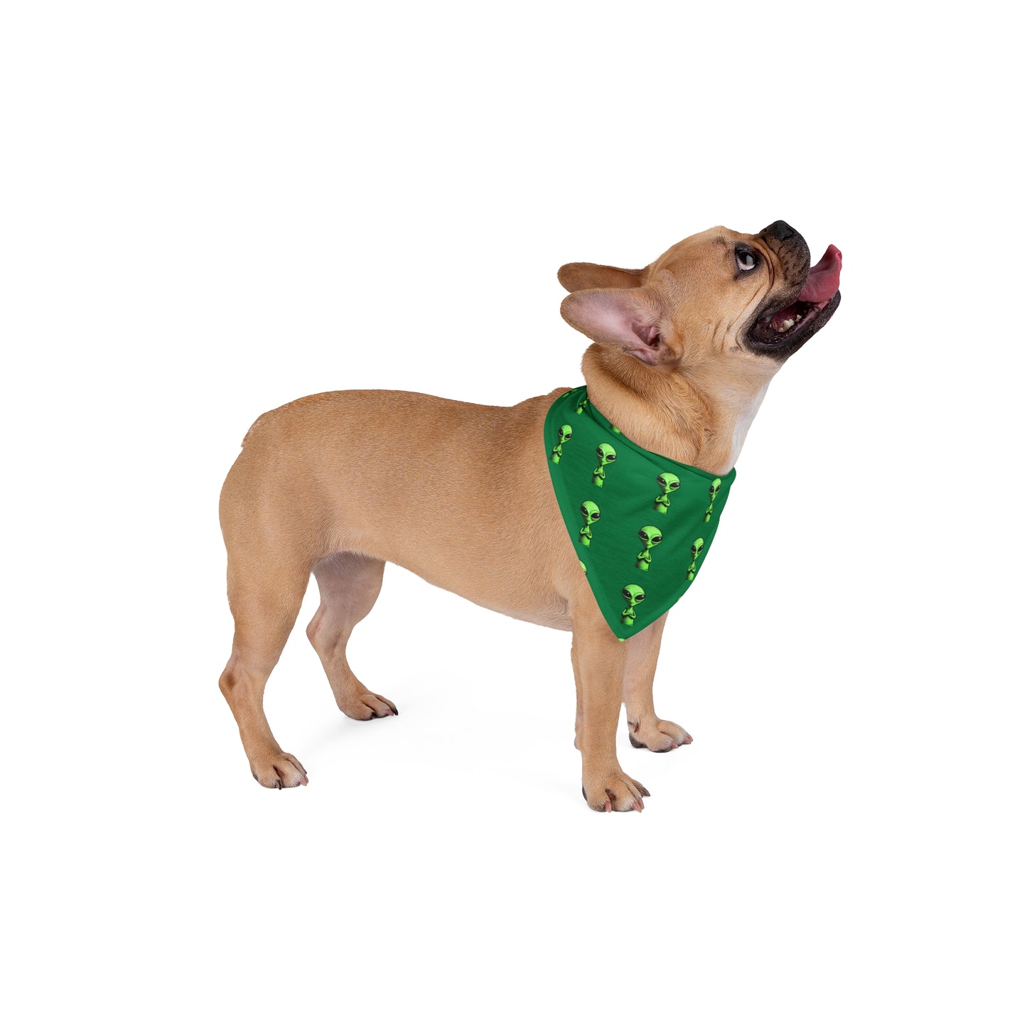 Little Green Men Pet Bandana