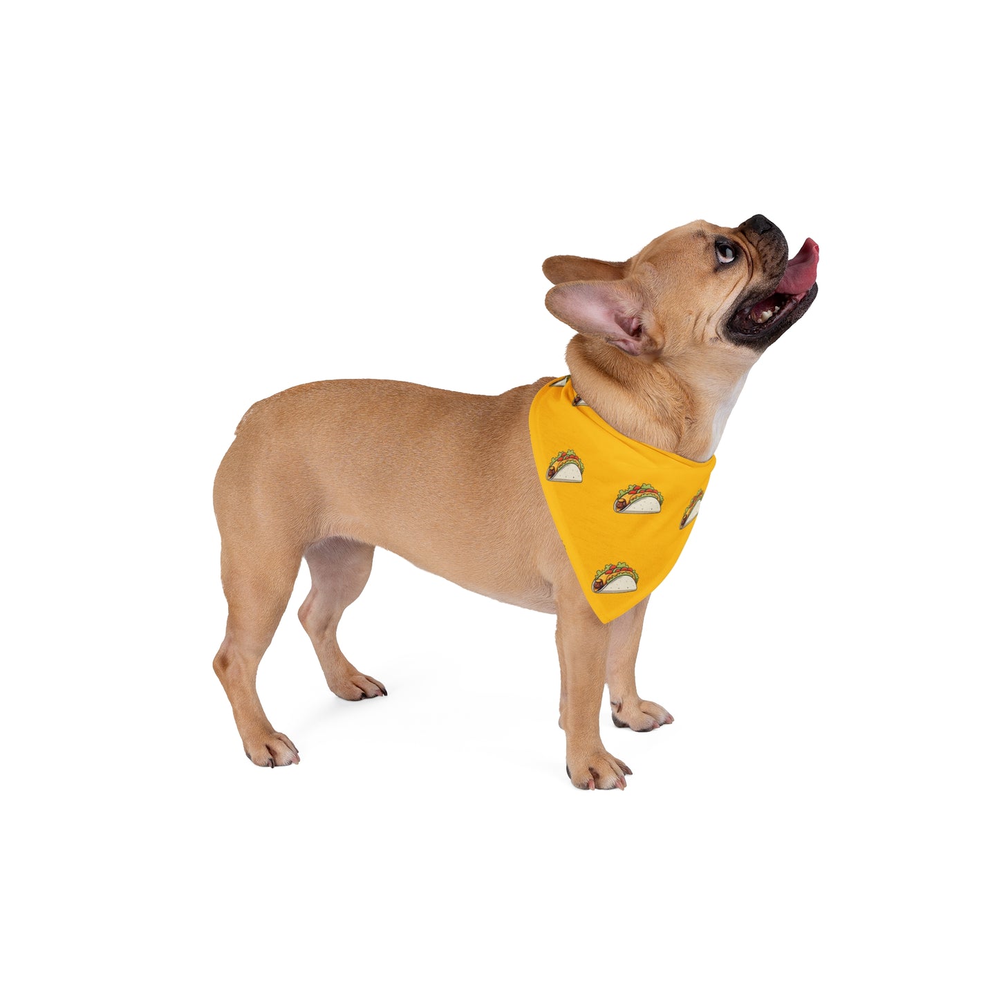Taco Time - Pet Bandana