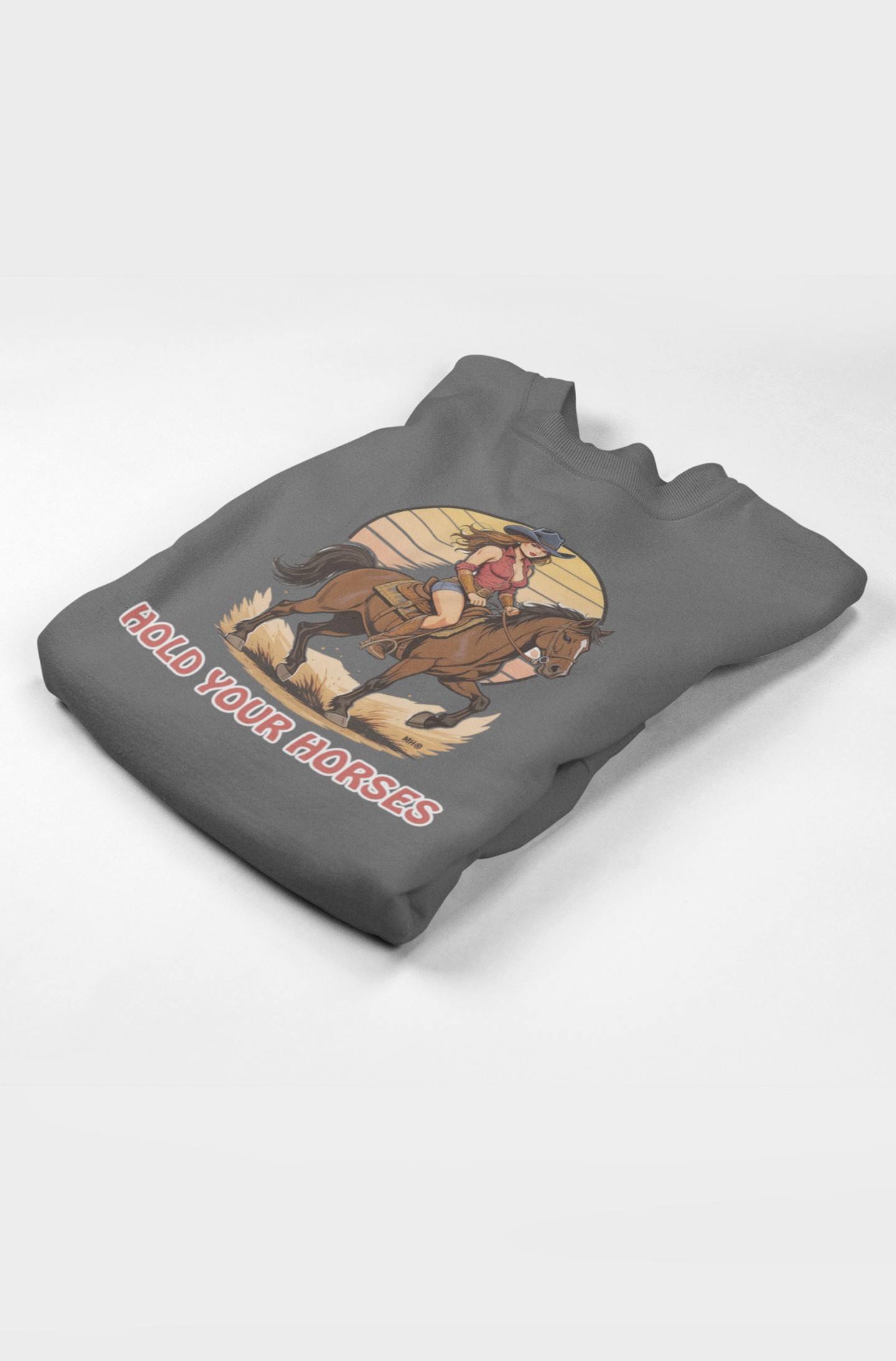 Hold Your Horses Sweatshirt | Folded